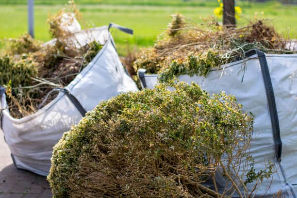 Best Electronics Removal Services  in Carolina Beach, NC