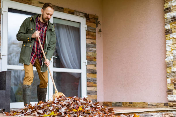 Best Electronics Removal Services  in Carolina Beach, NC
